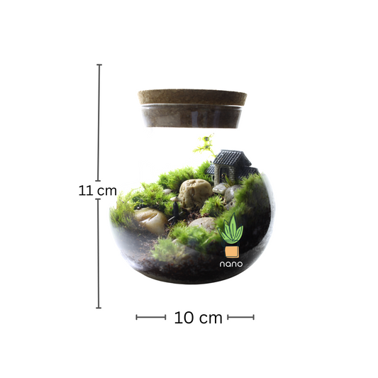 Home of the Samurai 🇯🇵