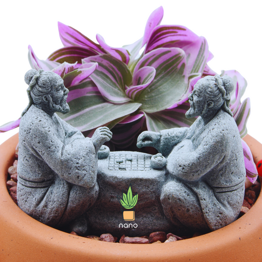 Chinese Chess Players ♟️