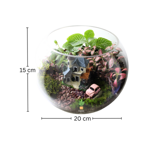 Dream House 🏡🚘