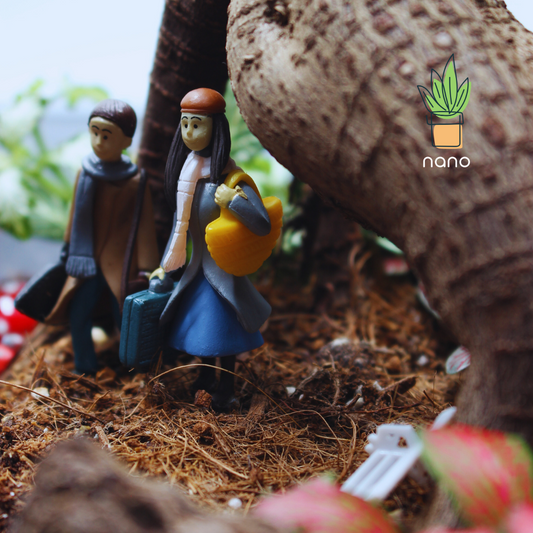 Bonsai Arch 🌱👫