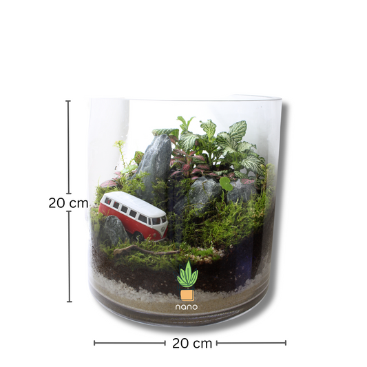 Van in the mountains 🚍