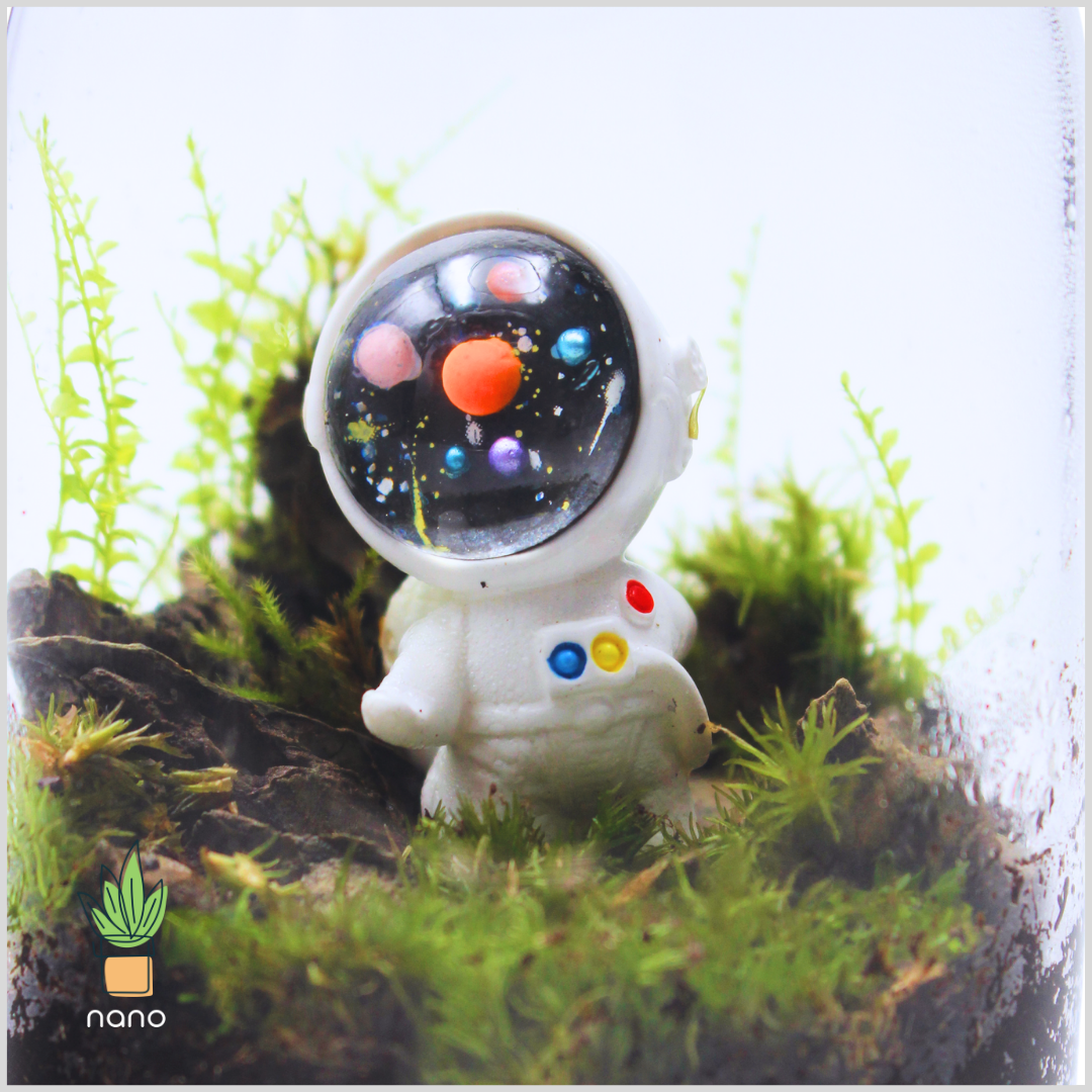 astronaut air plant Astronaut π§πΌβπ β nanooyard