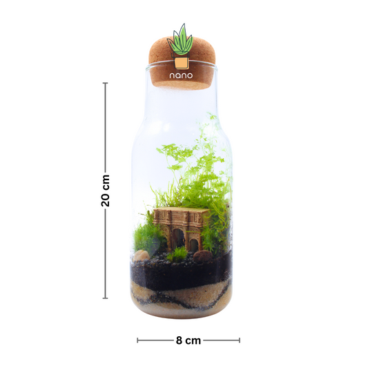 The Arch of Constantine 🇮🇹