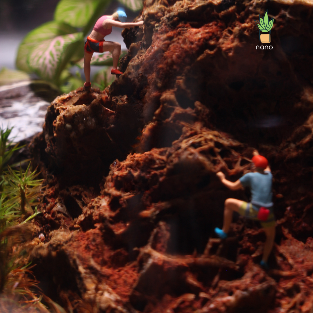 The red mountain Terrarium