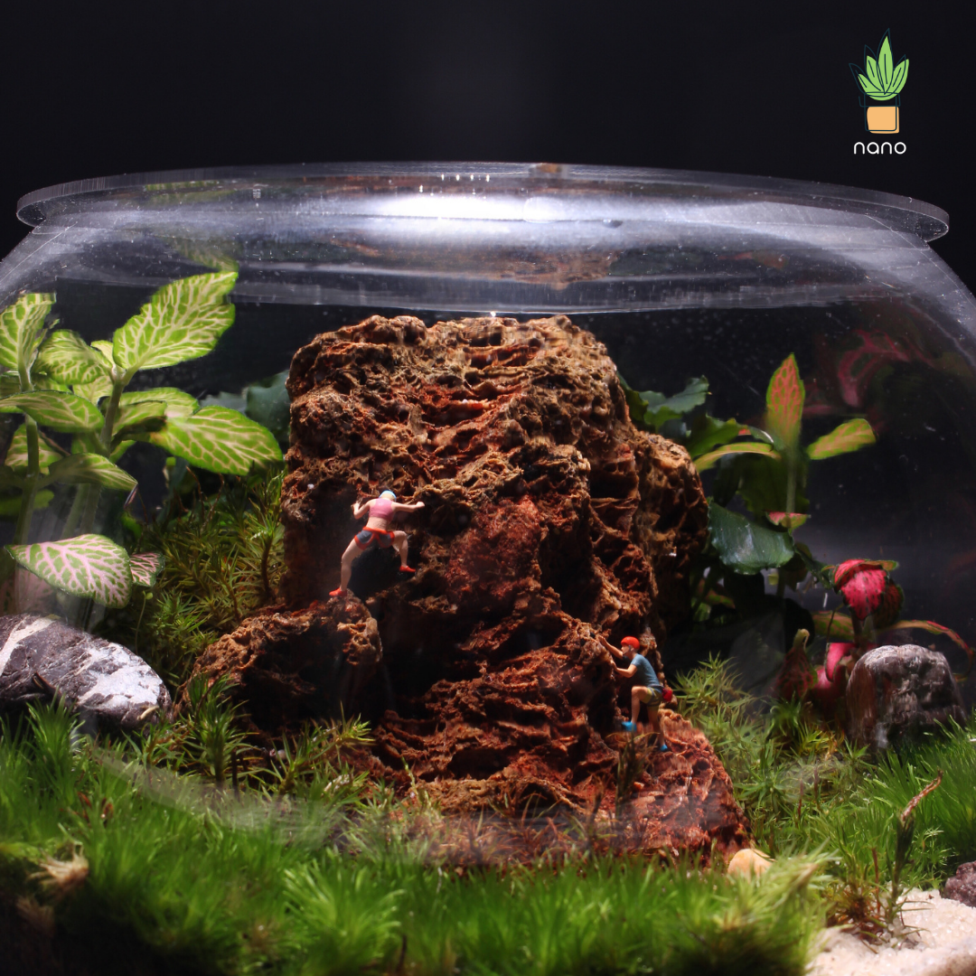 The red mountain Terrarium