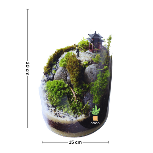 Samurai Warrior 🇯🇵