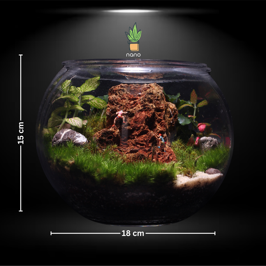 The red mountain Terrarium