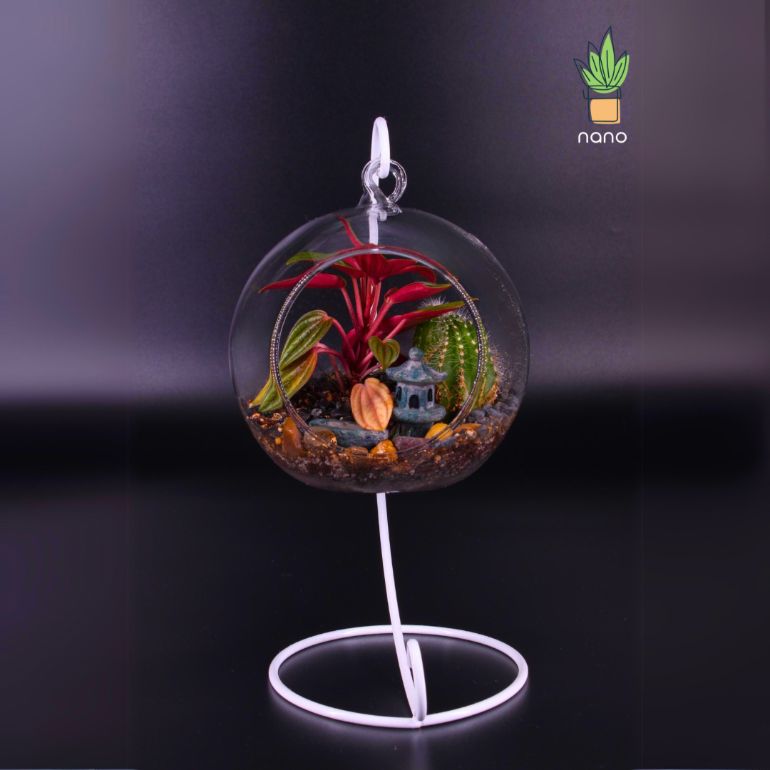 Hanged Terrarium