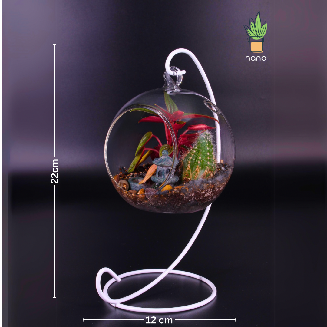Hanged Terrarium
