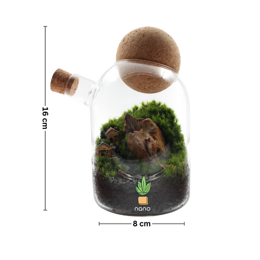 The Village 🏠 ⛰️