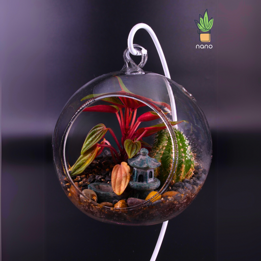 Hanged Terrarium