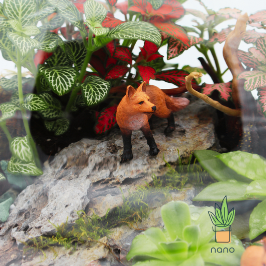 Fox in the woods 🦊