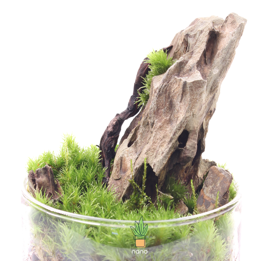 Green cliff ๐๏ธ