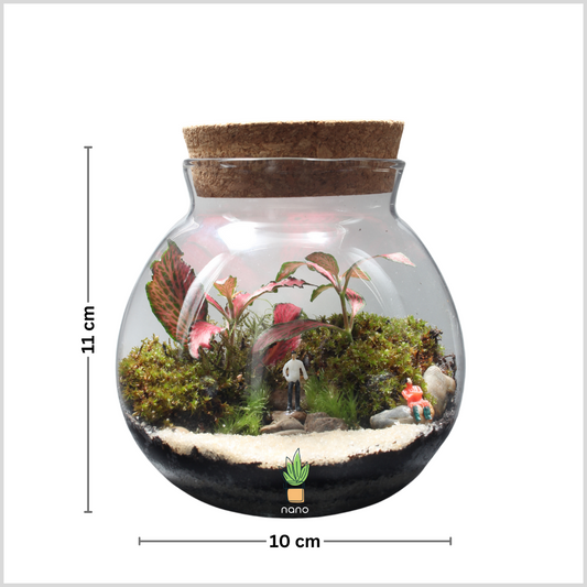 The nano island 🏝️