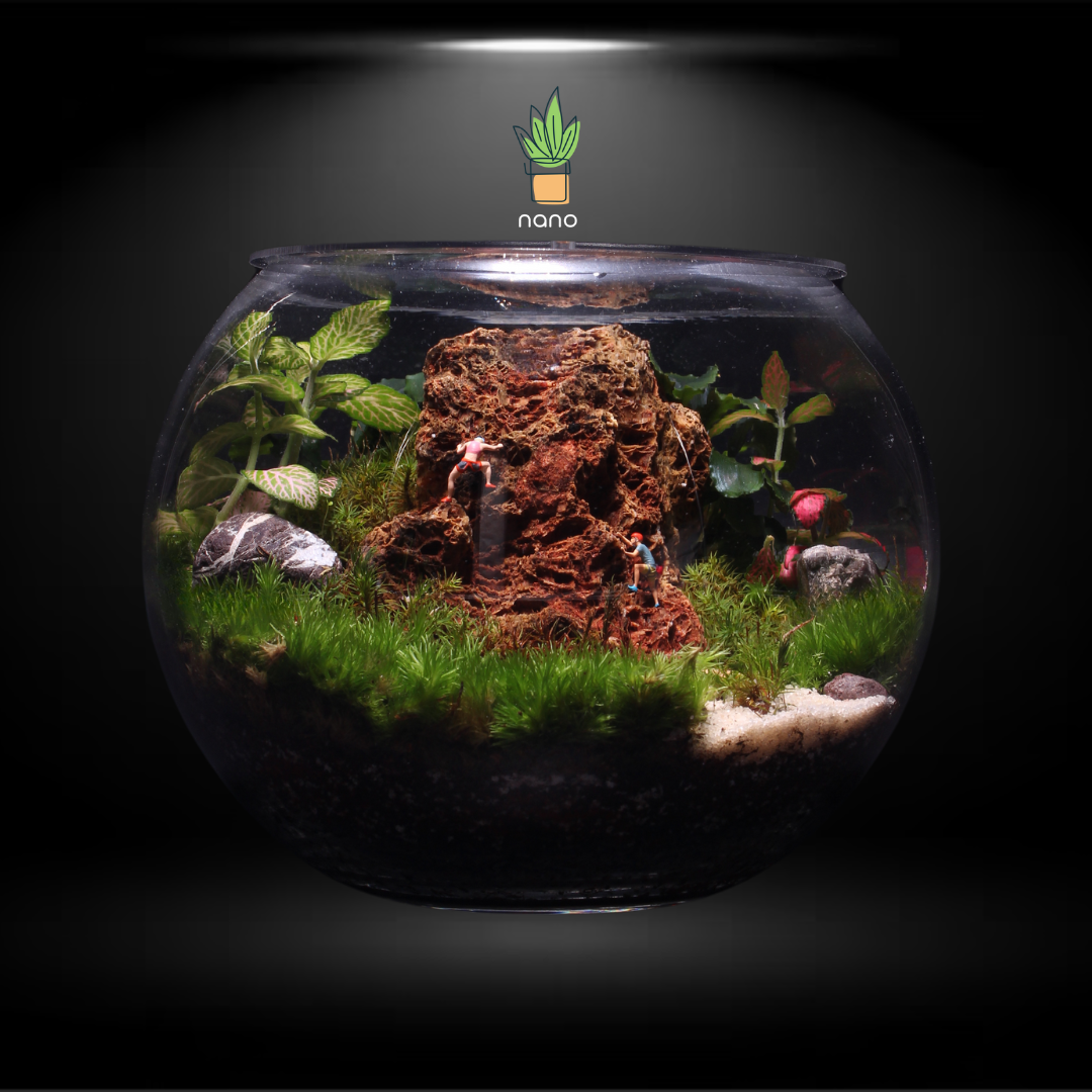 The red mountain Terrarium