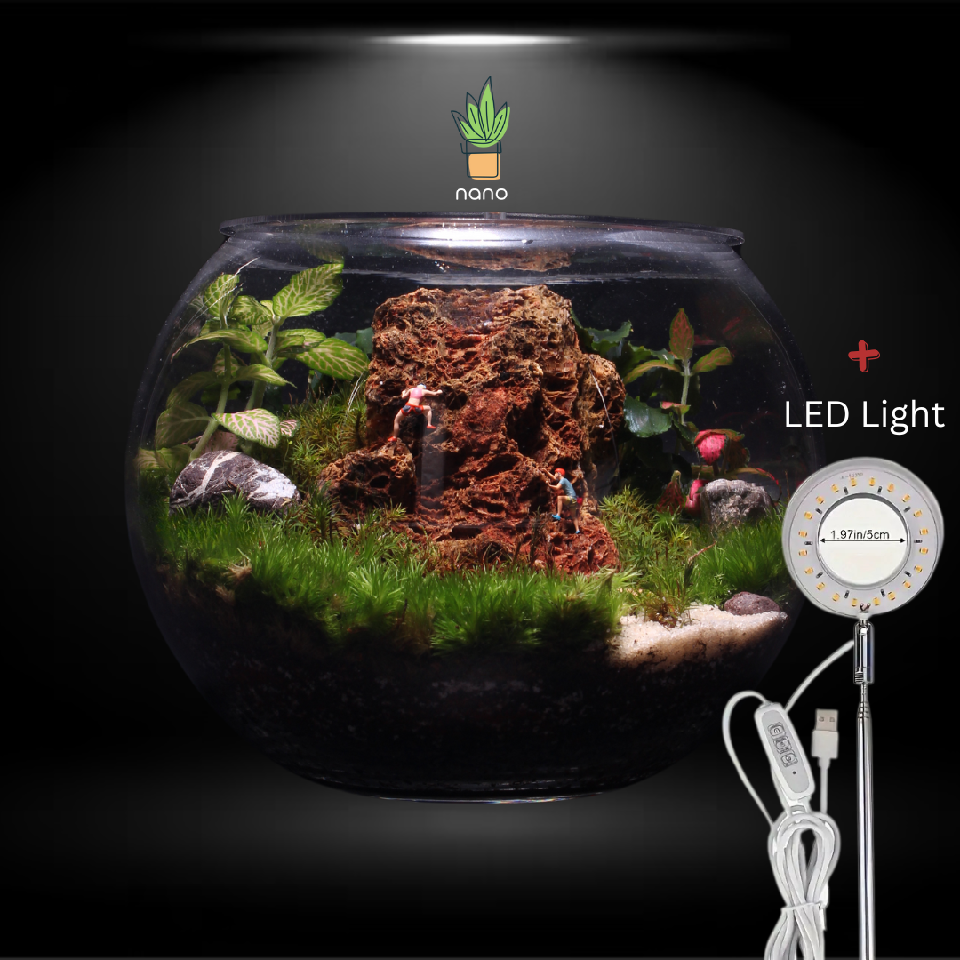 The red mountain Terrarium