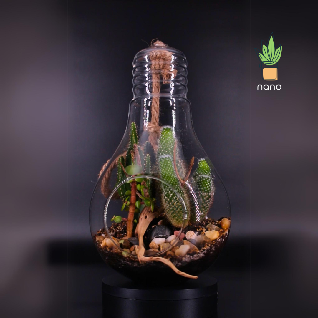 The Green lightbulb ๐ก