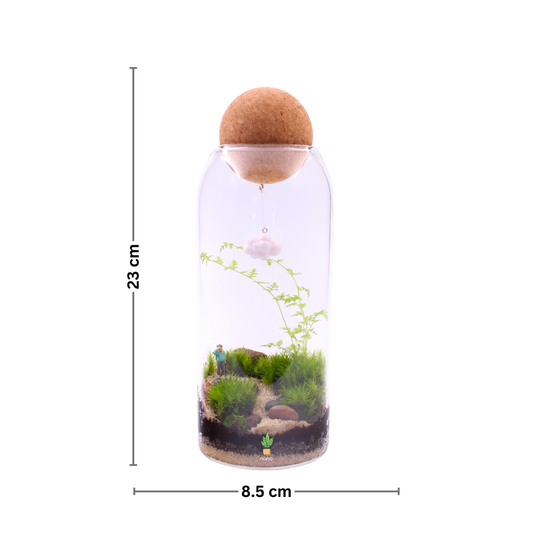 Man on the road 👴🏻