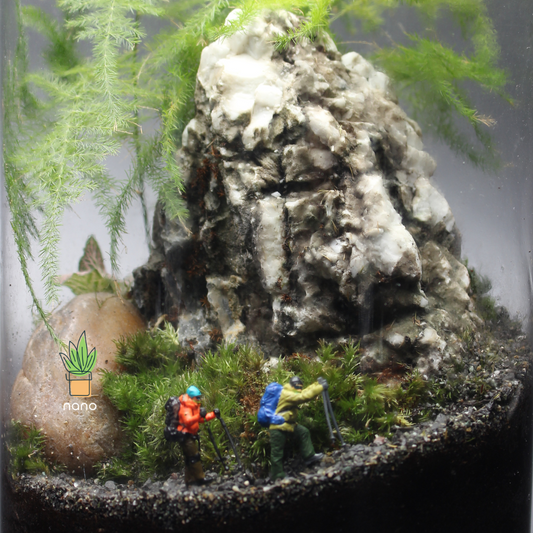 Mount Everest Terrarium 🏔