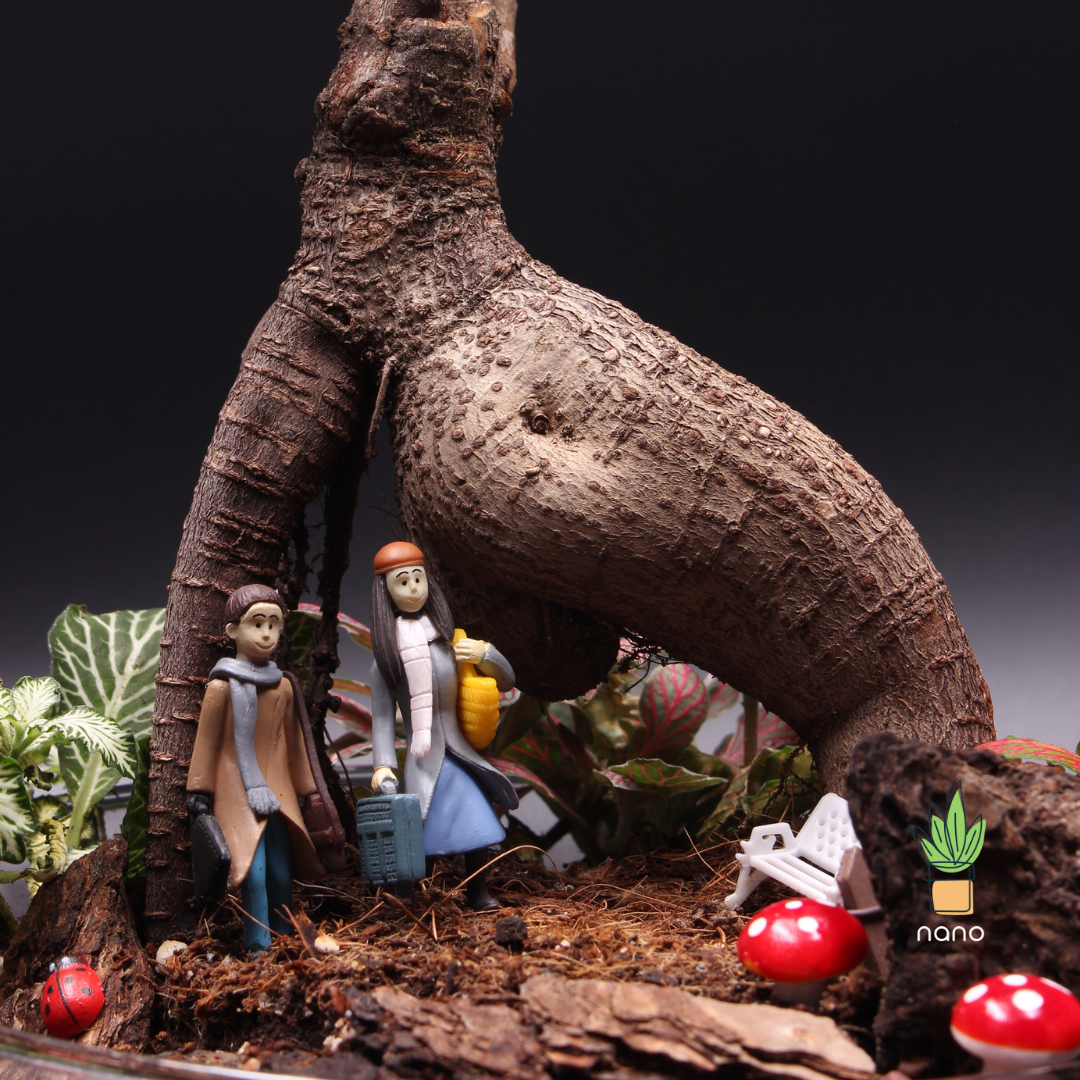 Bonsai Arch ๐ฑ๐ซ