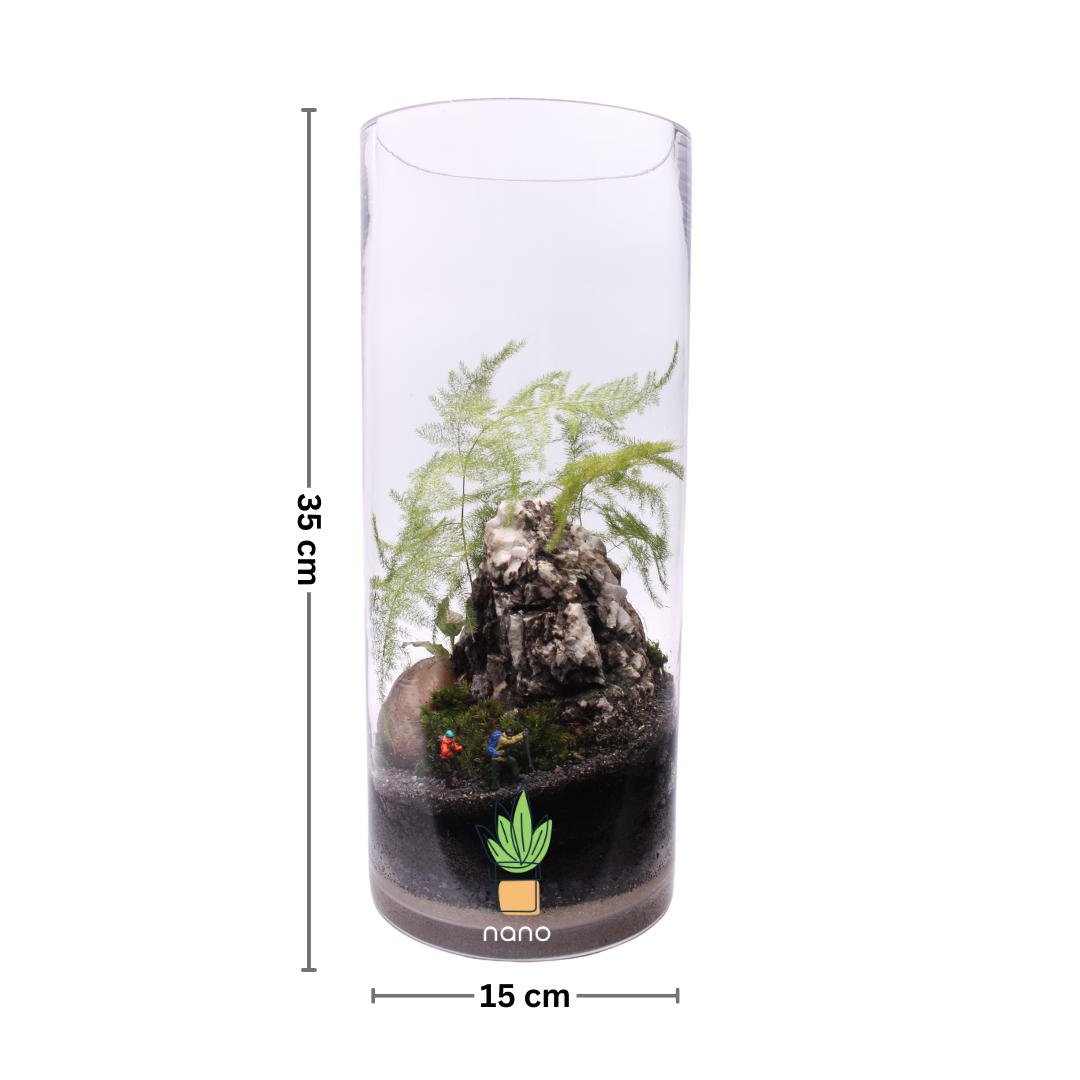 Mount Everest Terrarium 🏔