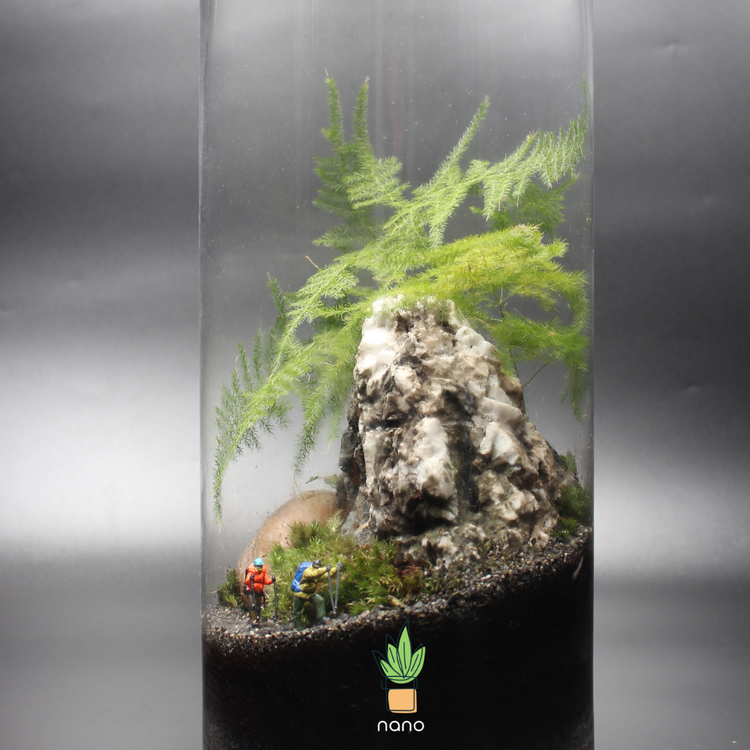 Mount Everest Terrarium 🏔