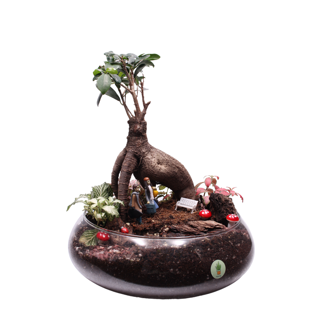 Bonsai Arch ๐ฑ๐ซ