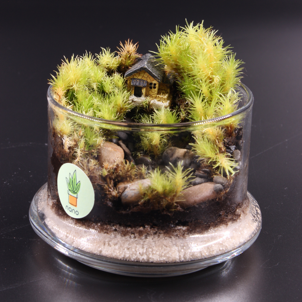 nano Vilage terrarium 🏡