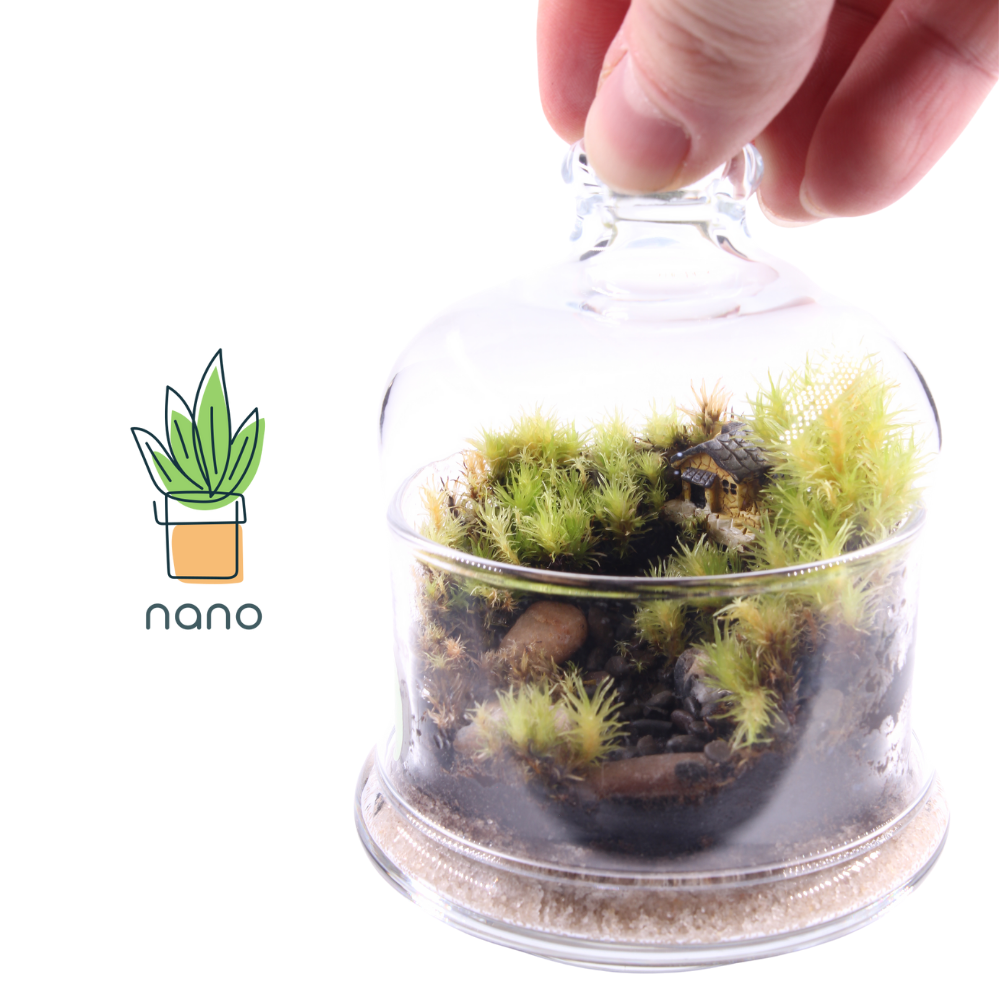 nano Vilage terrarium 🏡