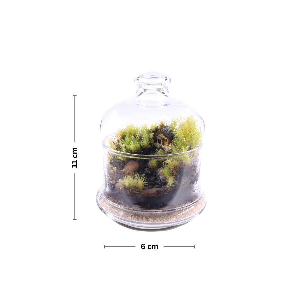 nano Vilage terrarium 🏡