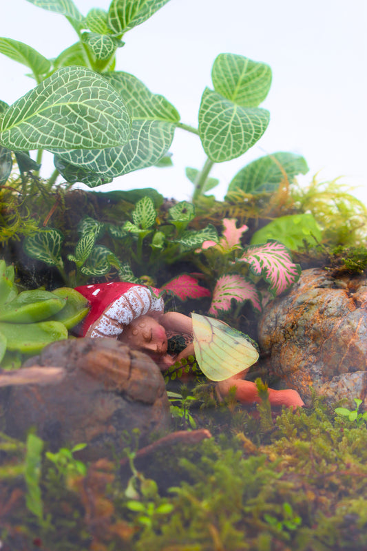 Sleeping Fairy 🧚