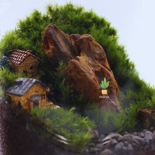 The Village 🏠 ⛰️