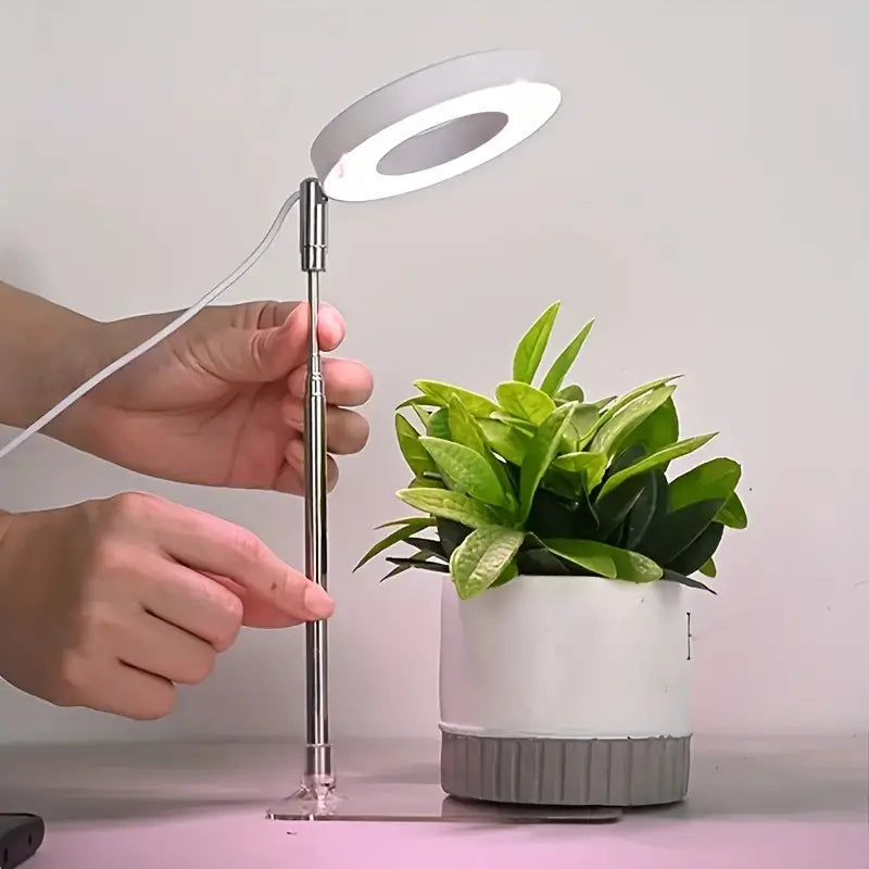 ضوء قابل للتعديل بالارتفاع 💡