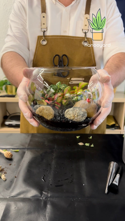 Terrarium Workshop - Beginners