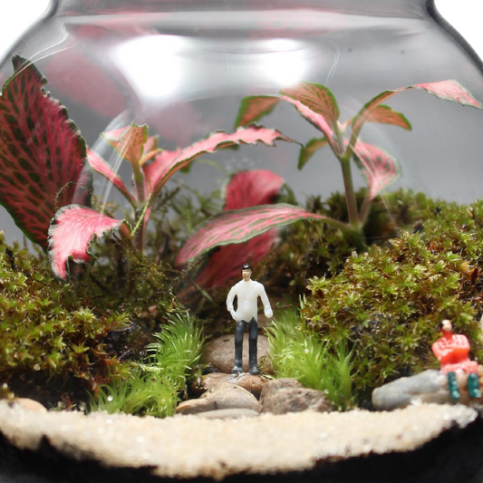 The nano island 🏝️